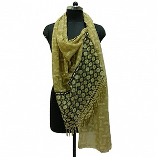 Printed Cotton Stole Embroidery Diamond studded and Fringes